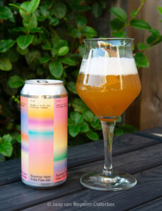 Summer Hero India Pale Ale | To Øl