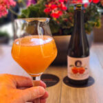 Cervesa Espiga | Orange is My New Love | Sour Farmhouse