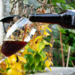 Brouwerij De Molen | Eisbock & Poot