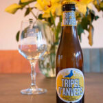 Stadsbrouwerij De Koninck | Tripel D'Anvers