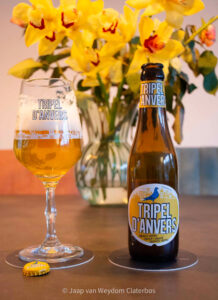 Stadsbrouwerij De Koninck | Tripel D'Anvers
