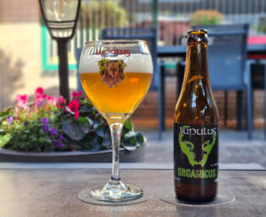Brouwerij Lupulus | Organicus | Bio Tripel