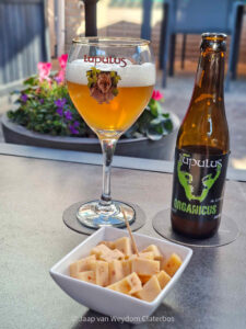 Brouwerij Lupulus | Organicus | Bio Tripel