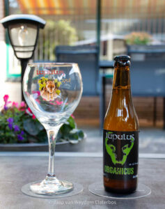 Brouwerij Lupulus | Organicus | Bio Tripel